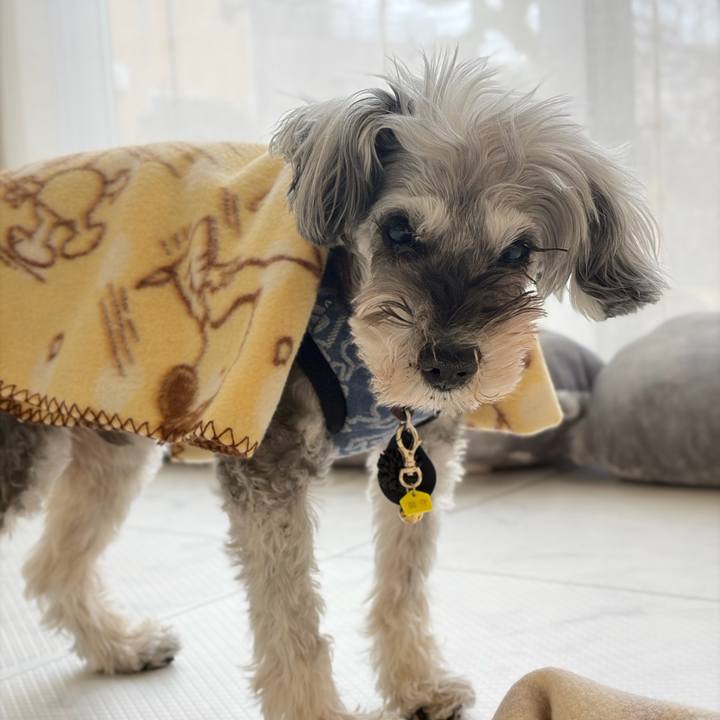 D41c18c6 f432 476b baff b11df43359d7 1771337568848