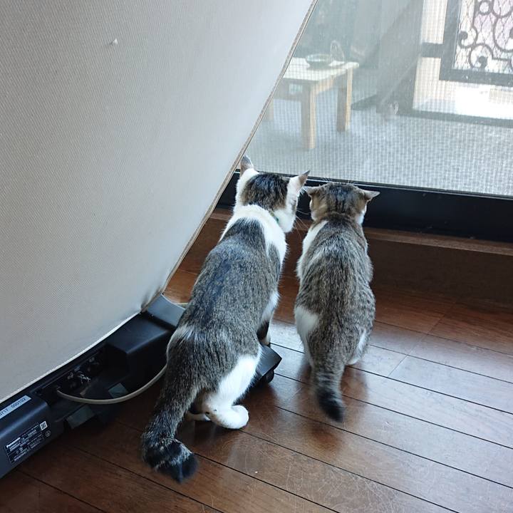 D41c3326 c4d0 4dc4 8520 7eb5d604928e 1552521545280