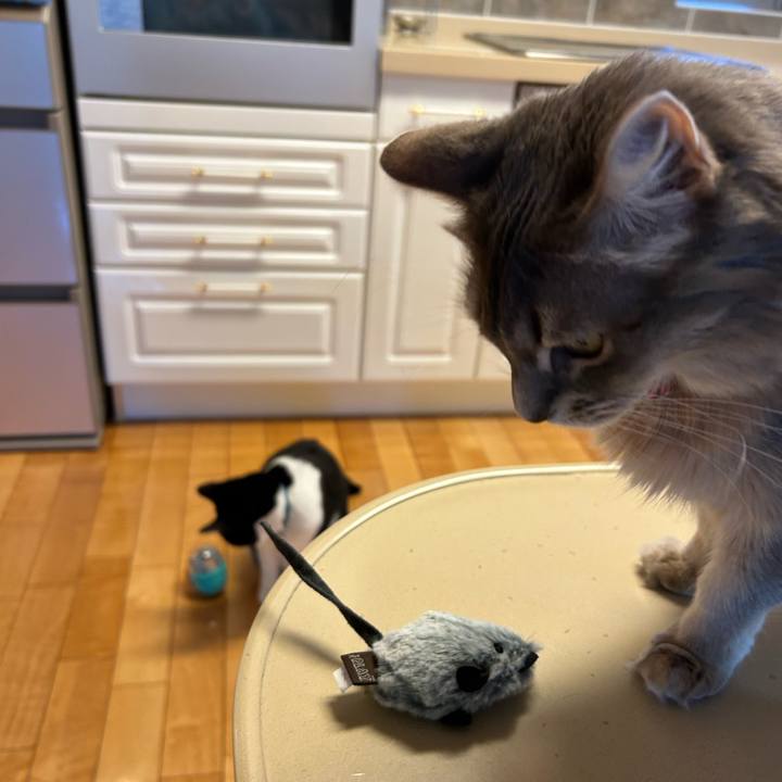 D41c37f7 3db1 4078 987e c25e379148f2 1771514631332