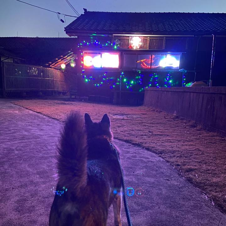 D41c4373 2633 4263 97ab 9de16844a41e 1669625627842