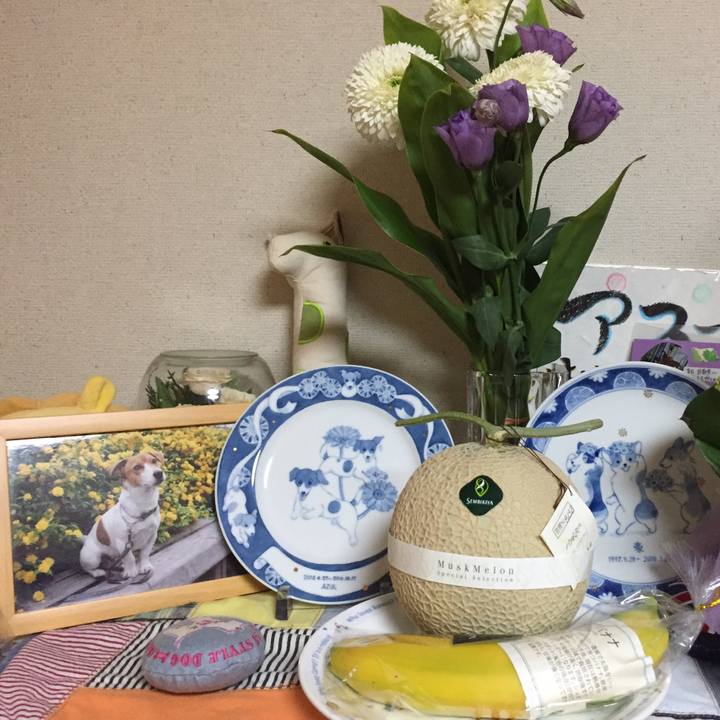 D41c4cac 9059 4f8c bb53 f6bd3c64ef6a 1539780091705