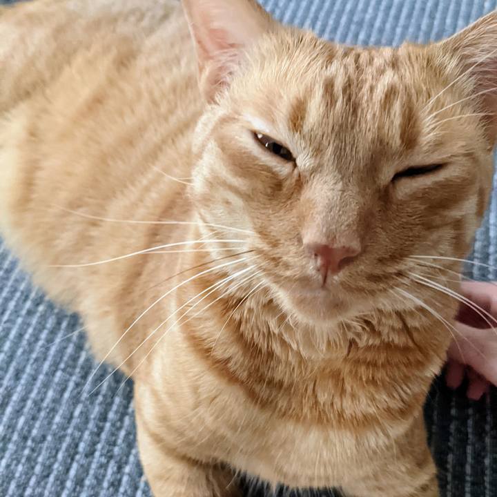 D41c63a9 61fa 407e 9b2d 26b271d4356c 1651192253360