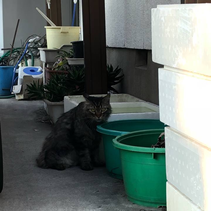 D41c6647 b2a1 4cf3 bfb9 b7b404d02ba5 1533242323011