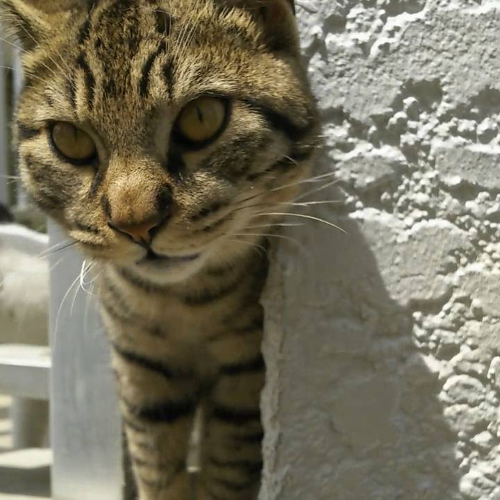 D41c72bb 5a95 4a92 9ff5 96b84e8887a1 1555901789039