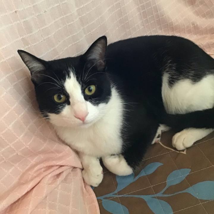 D41c86a3 edc9 4d48 b73d 17ee9a7fd25b 1651272905621