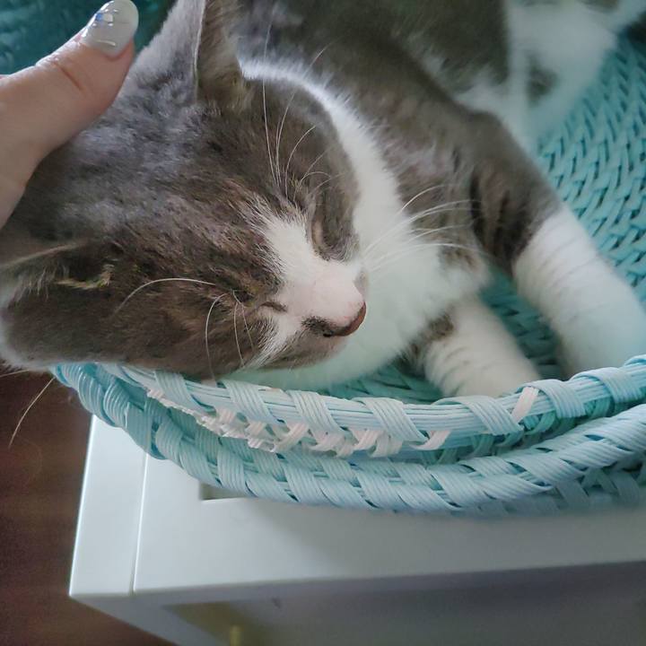 D41c918c 310a 4769 a13f 33cf344ff244 1724894607021