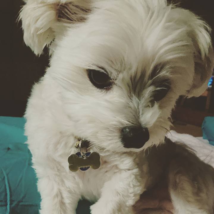 D41ccdb0 324f 4d71 b567 88cc03af1b8d 1535203991813