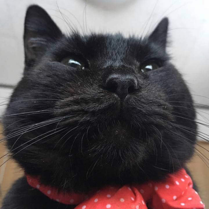 D41d051e 16a6 4f40 9cac fbe7e820f71a 1581430161154