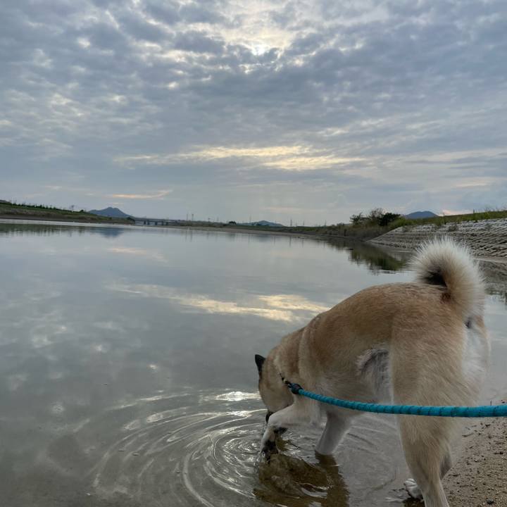 D41d128c 16e6 49b4 b33d 7379e8c8fe46 1697291422969