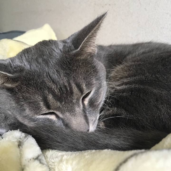 D41d37ef 1808 4ac7 986a f46887aad3e8 1540632349741