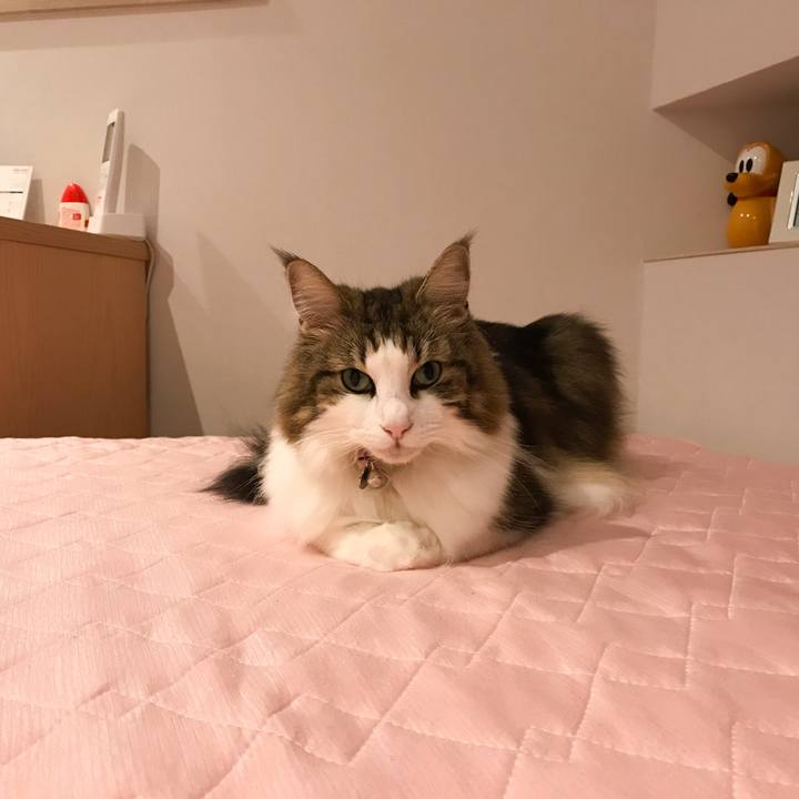 D41da184 a2b7 4814 b6e4 0001794271e7 1630744364617