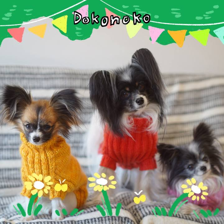 D41dbb28 1f64 4f52 927c 43f7cf1631b5 1711278364772