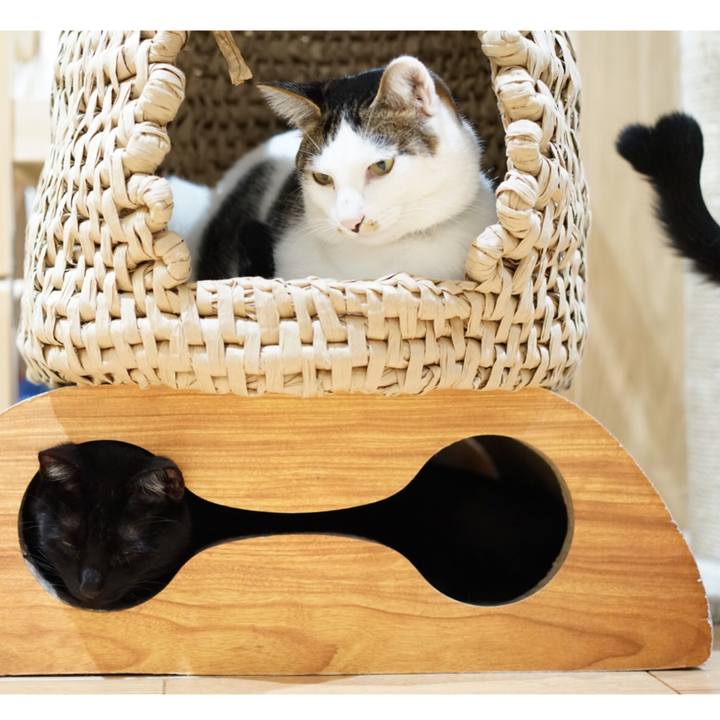 D41dc27d e0d2 461c 98bf b596f715c52f 1550671550885