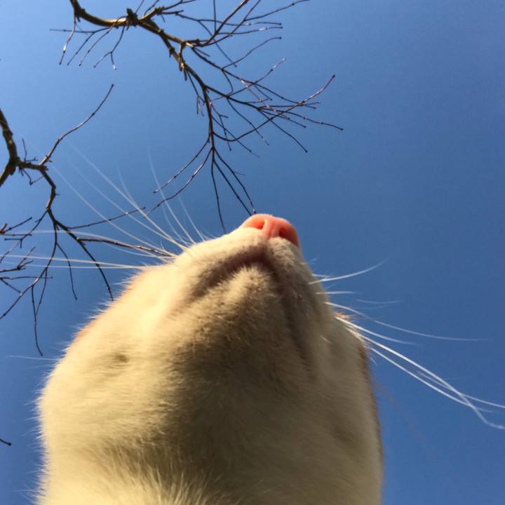 D41de6a8 3395 48ca befc 8dc9c42ff46c 1517554932804