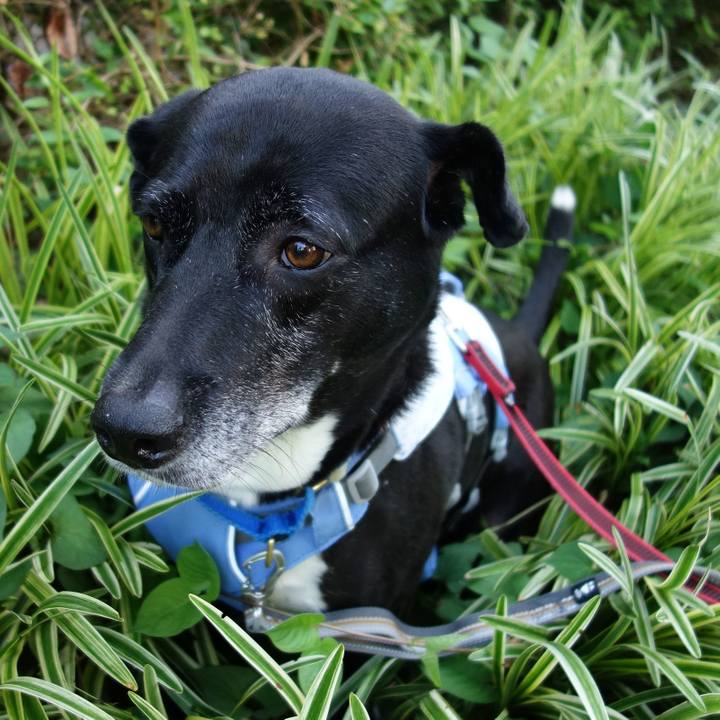 D41de8bd feda 4c9d 8cfc b7b630e7e2c4 1720570313395