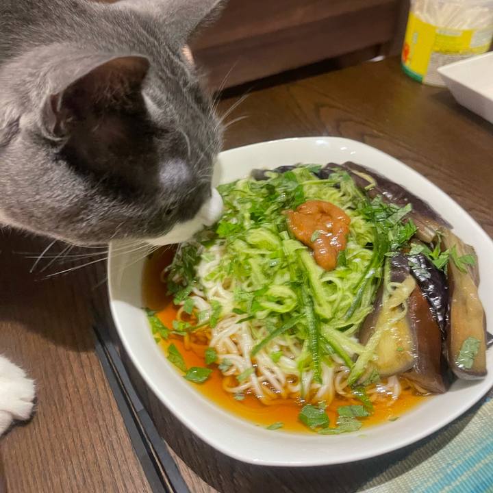 D41df9bd 280e 4942 83a3 b22b2467f3fc 1752144562259