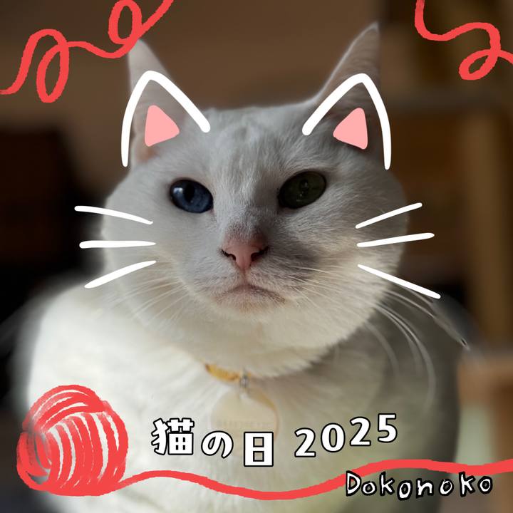 D41e4696 c975 4fa4 a5eb 7d9217dd952c 1740223102862