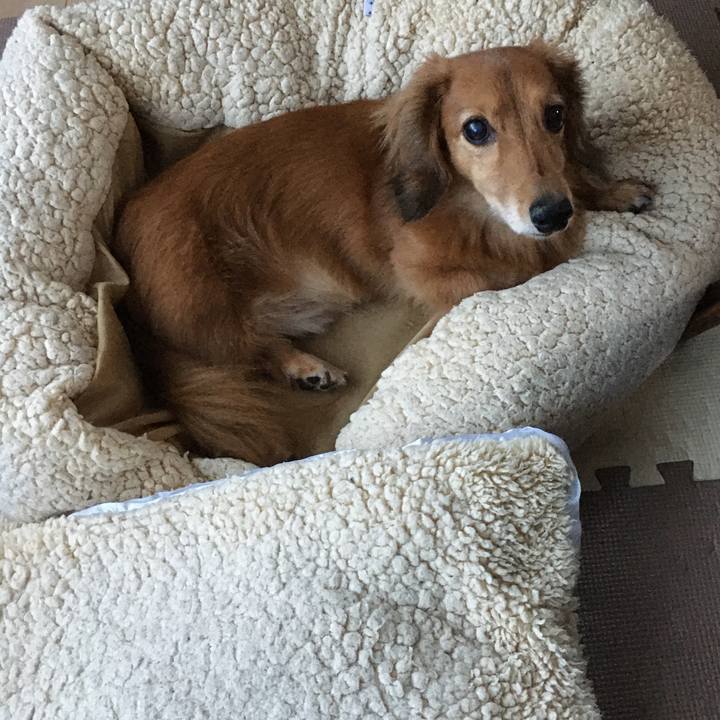 D41e4aa2 78f5 4f65 9dfd a197018f749e 1599216987293