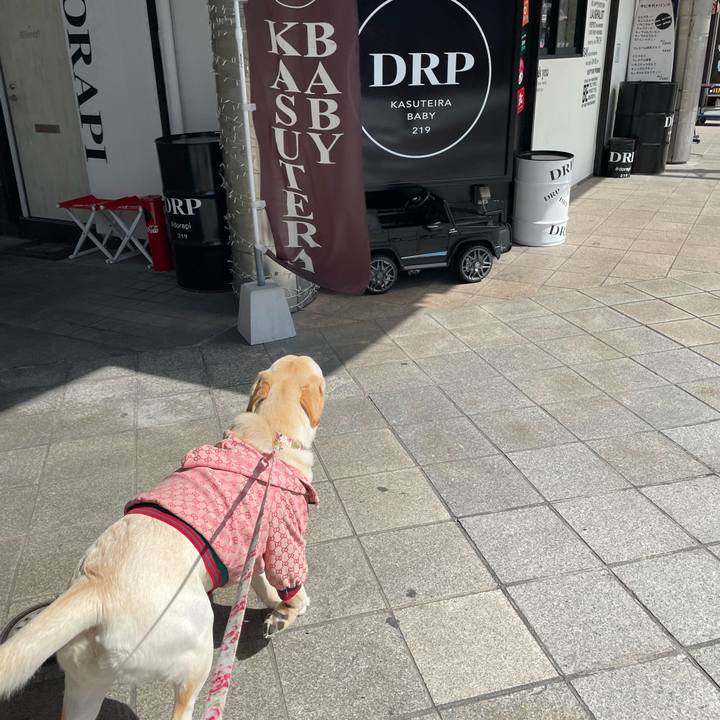 D41e4cf4 600e 4c93 a00a 8a5e4cab7795 1646205979479