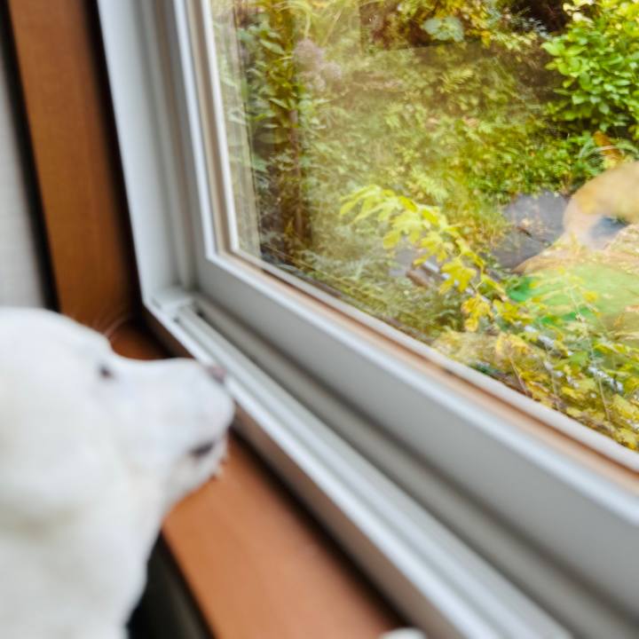 D41e7058 36a1 4fc6 b91e c127e89f193a 1698459398135