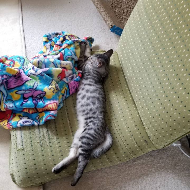 D41e8ac7 d587 4675 923f 11f337643396 1666529159193