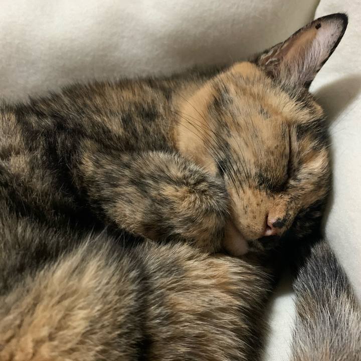 D41e9f9e 7542 4063 9feb a82636b1018b 1730209459244