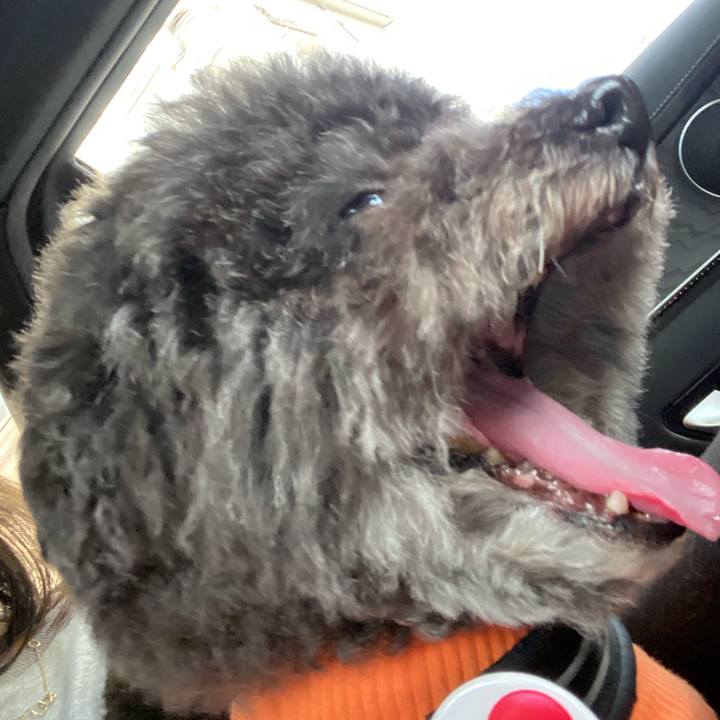 D41eaab3 44f0 4fd7 a2a4 d21b01a7b1eb 1633310300842