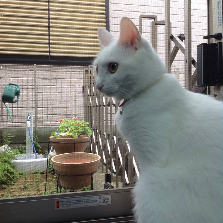 D41eafe5 5770 43c8 8be1 81c49c4e572c 1628455453365