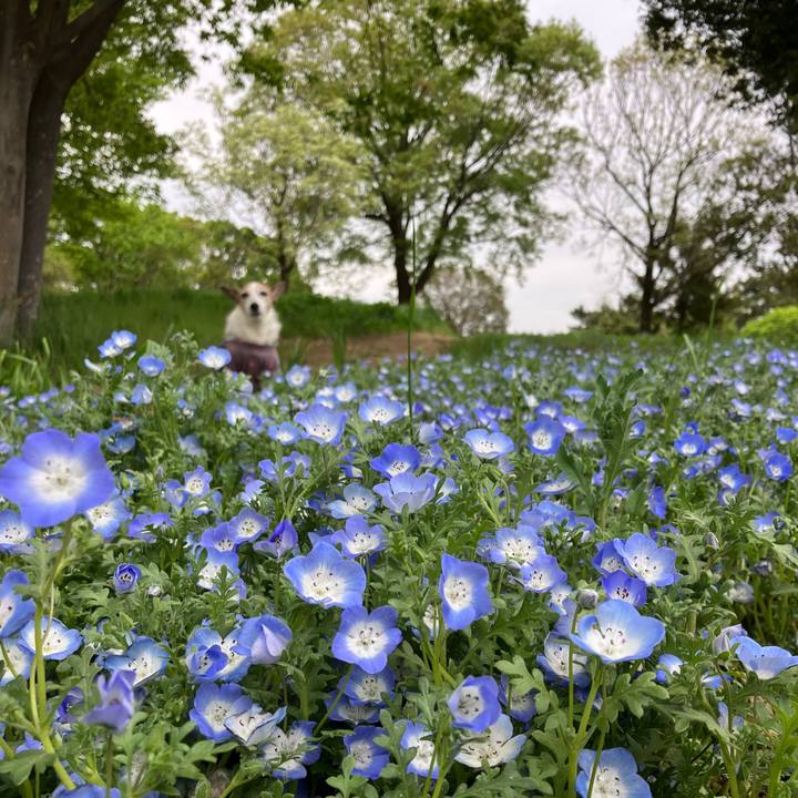 D41ee0a4 7847 4e3c 8cff 088355364269 1713741760288