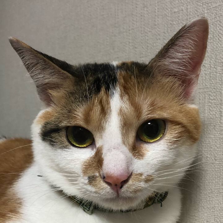 D41efde3 448a 4cda 97ac 232c0e4f921b 1595688304638