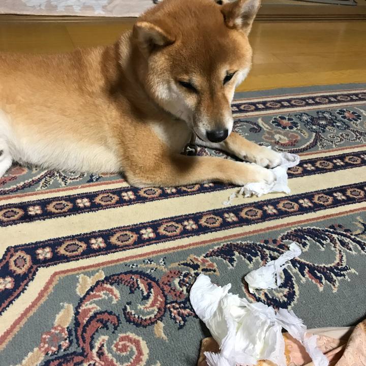 D41f27b6 8448 40ad b873 bc30928e37a7 1521456076178