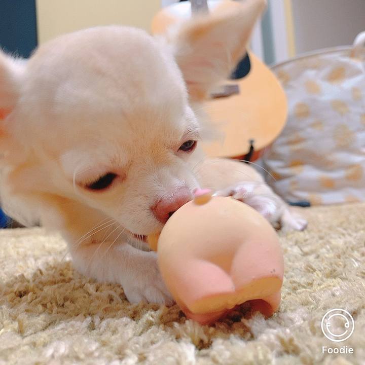 D41f47ac ad86 4fb2 8200 43526bc08fb4 1602904604505