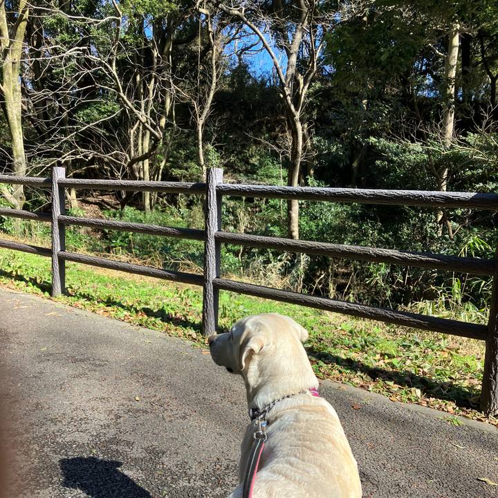 D41f5a01 eef6 4c92 9d27 c3c3a8d84d5e 1676241770437