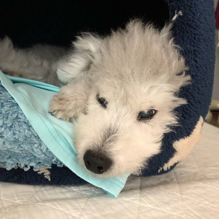 D41fa212 3b98 4a10 aa87 f906490c6147 1628726360581