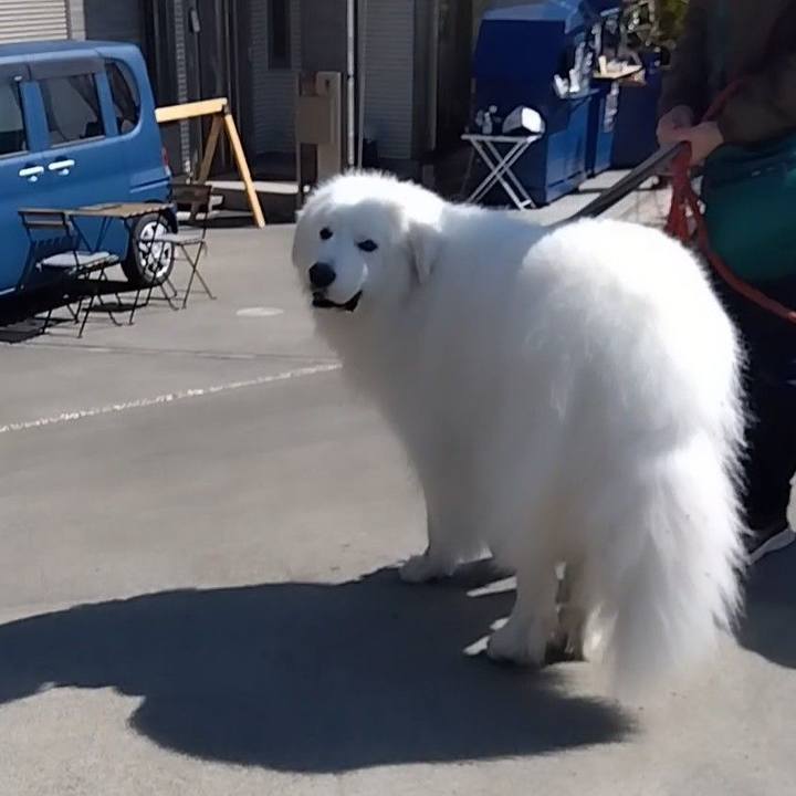 D41fcf19 fa8d 4633 ad5d 377a36397f0e 1677902195206