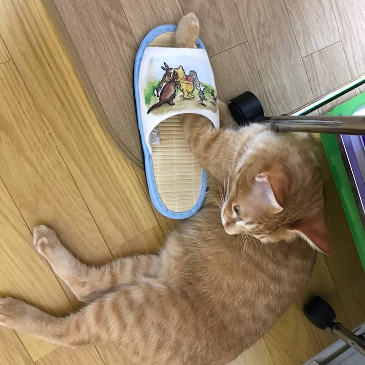 D41fe2d0 6c8b 459e bb7e 006a2da462e0 1533726661321