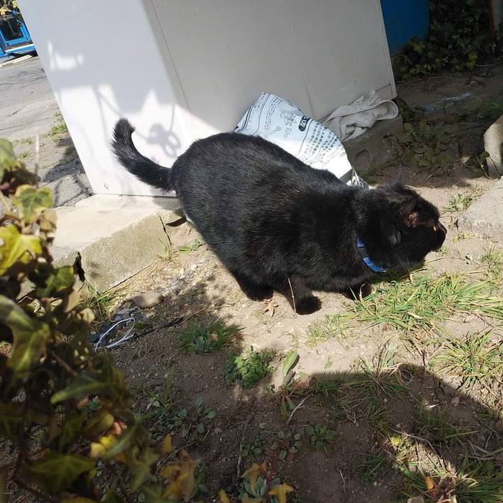 D41ff183 d847 4cd8 b338 7597c6217272 1646645131251