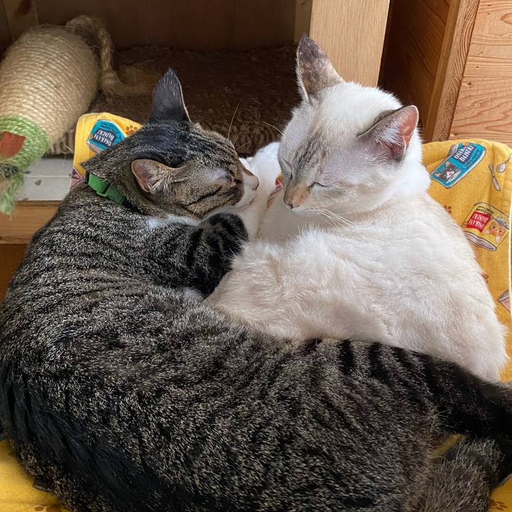 D42012ec f8bb 4d77 981d 5c615a3a7593 1661041289509