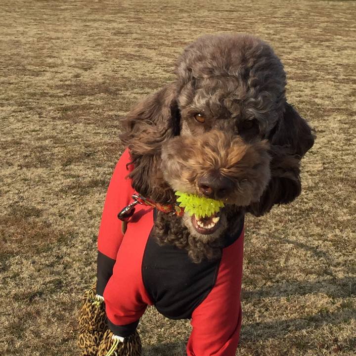 D4201e47 5a00 4f16 85b1 8d5d9d73fea9 1518760619172