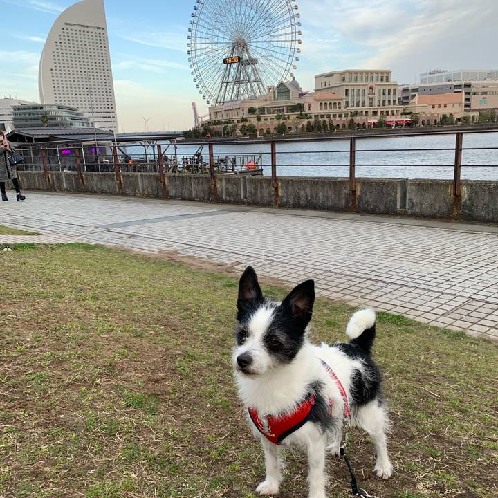 D4205d66 4b3a 4361 b37f 9640541f3a74 1614068883199