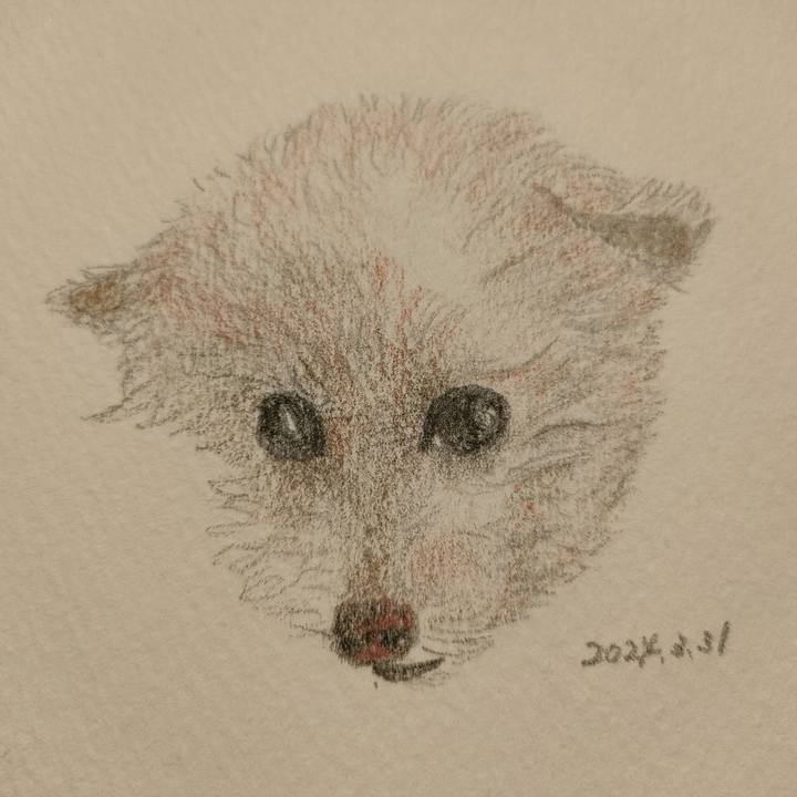 D4209724 aa73 4996 b0cf aacac3dc8b88 1711877186462