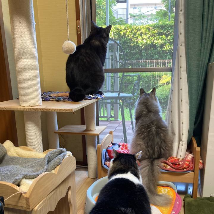 D4209b3c 7753 4cc6 8db7 f989f26f9c7f 1719003944642