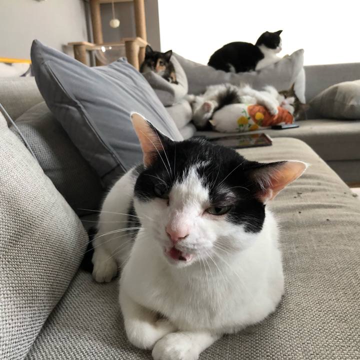 D420a7eb 624b 4934 9089 033d9c0e0659 1625454832265