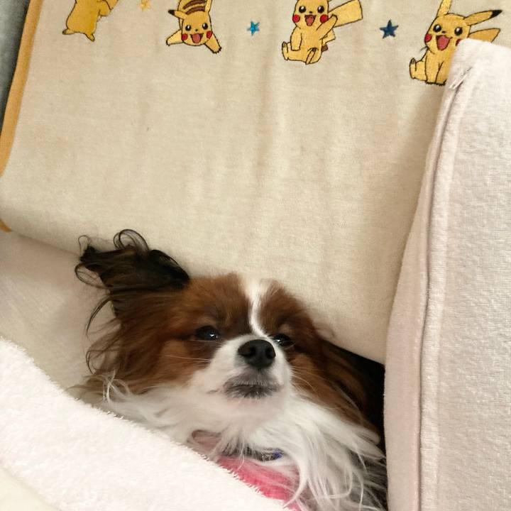 D420df06 df95 4654 81ce 48c80d694592 1668229827209