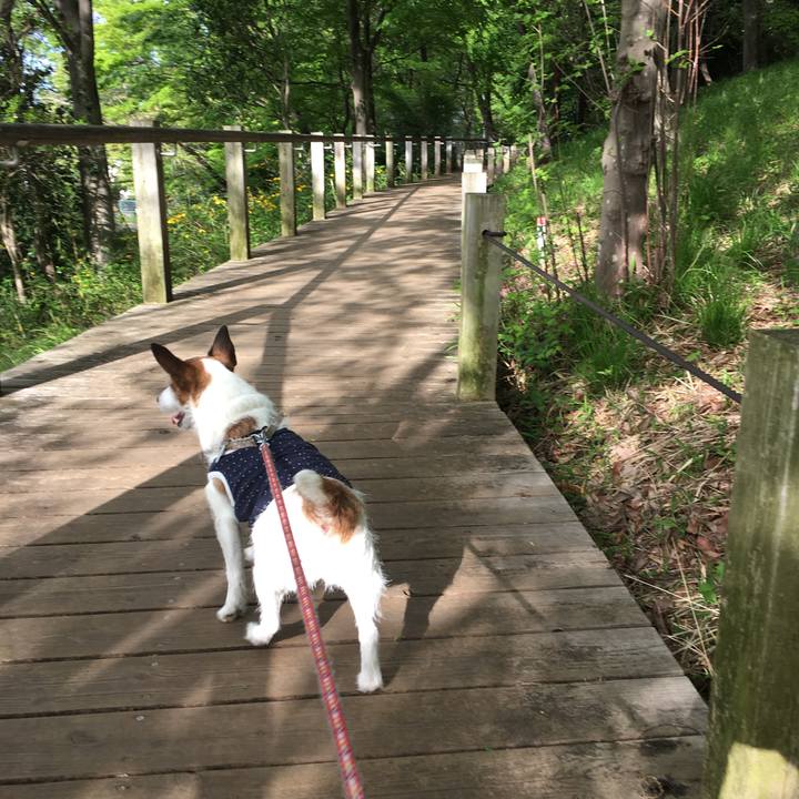 D421288f da89 42be b6d2 6a21ae341c69 1587425789790