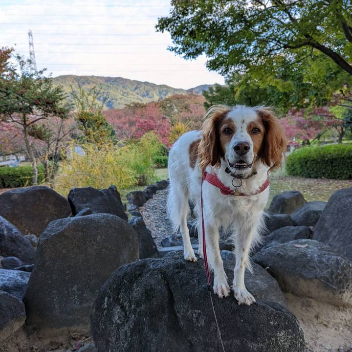 D4214d36 be48 44f3 a690 7ec6aa690aa6 1636112616028