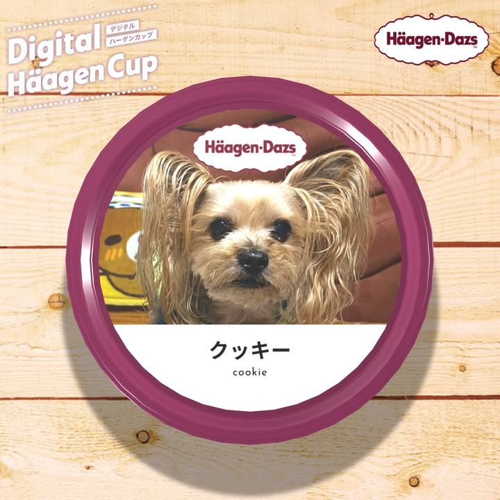 D4217606 a689 4f90 ad07 c182a1b47e80 1607509795388