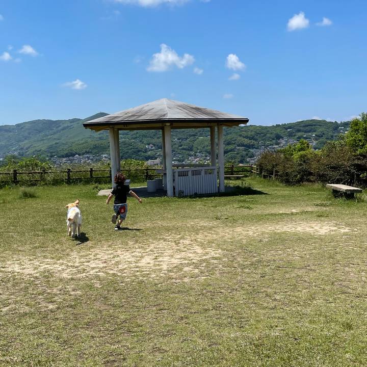 D421870b a525 47fc 9732 87b585ecafac 1621691598352