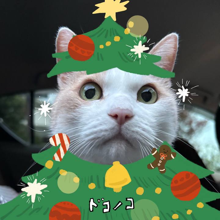 D4218b89 61f1 4557 8da4 272840295985 1761180574573