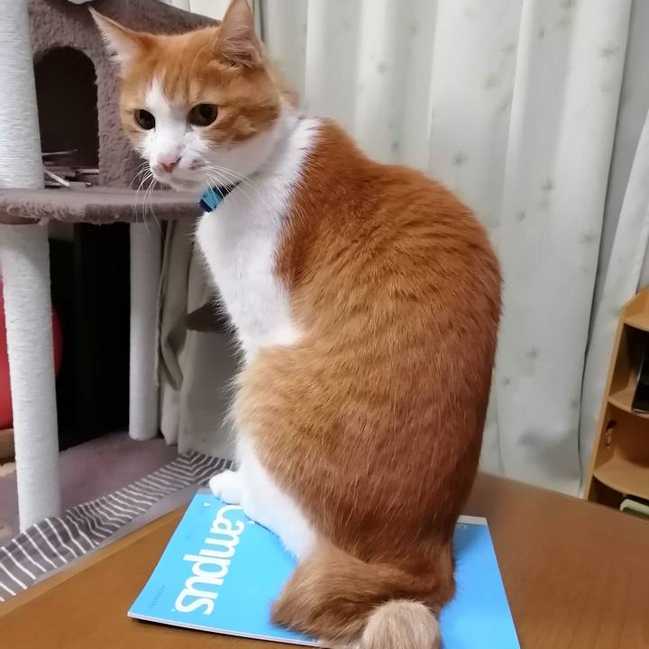 D4219e13 bd72 4627 a412 96310576c1d0 1607254268494